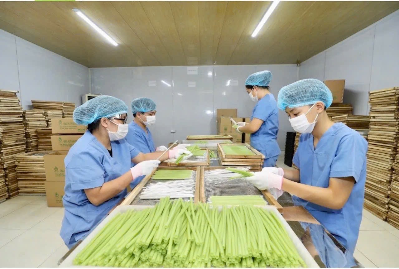 Cá nhân, tổ chức có thể được hỗ trợ 100% chi phí thuê chuyên gia tư vấn khởi nghiệp sáng tạo
