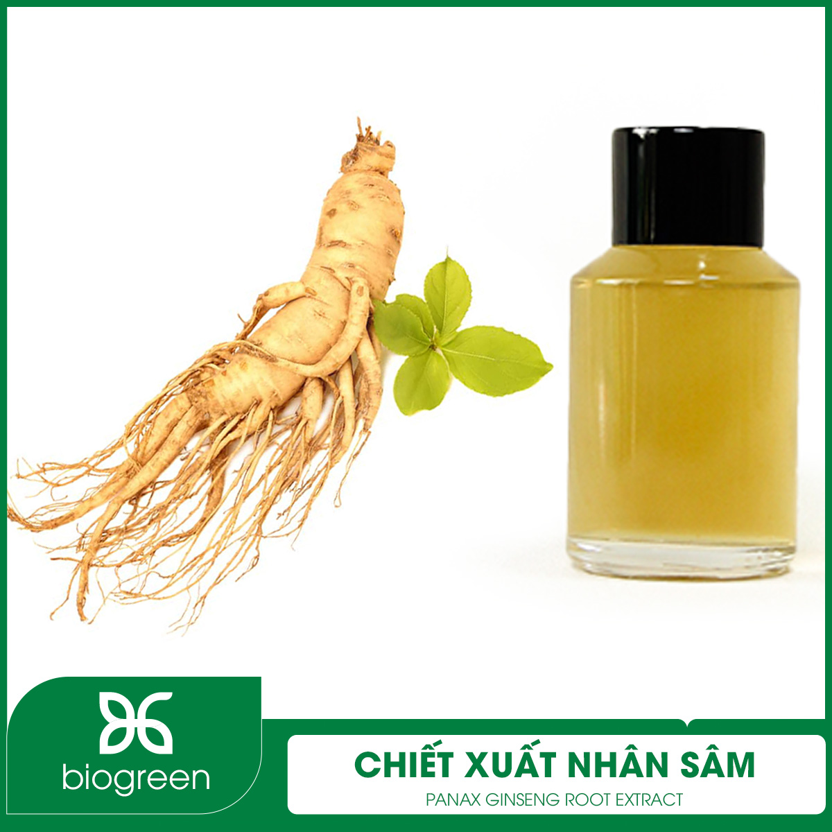 Ứng dụng của chiết xuất nhân sâm
